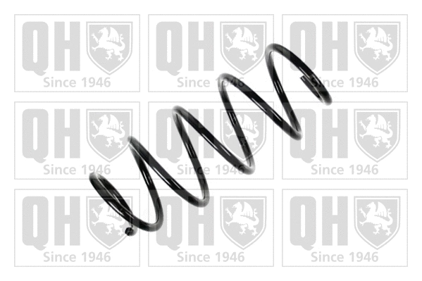 Suspension Spring (QCS5596)