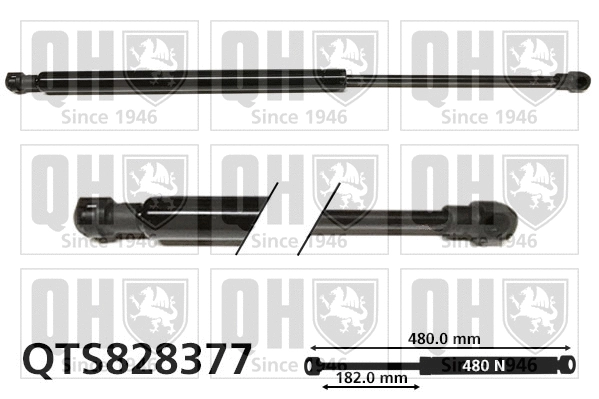 Gas Spring, boot/cargo area (QTS828377)