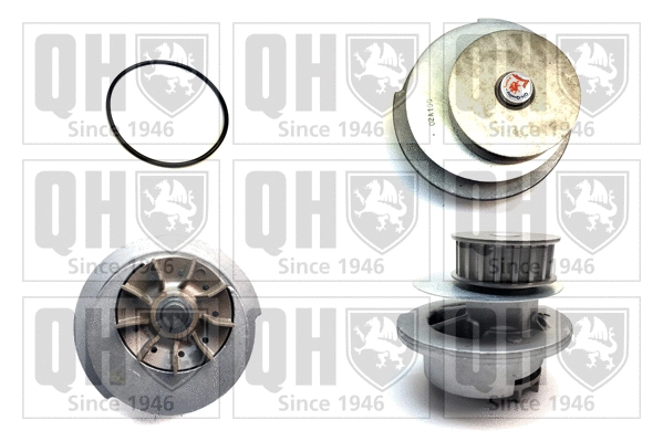 Water Pump, engine cooling (QCP2513)