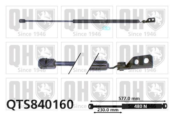 Gas Spring, boot/cargo area (QTS840160)