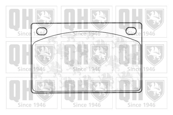 Brake Pad Set, disc brake (BP110)