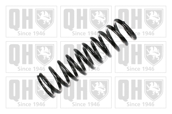 Suspension Spring (QCS5997)