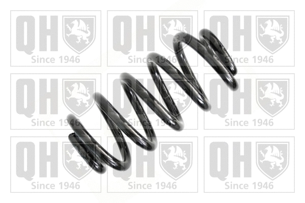 Suspension Spring (QCS6383)