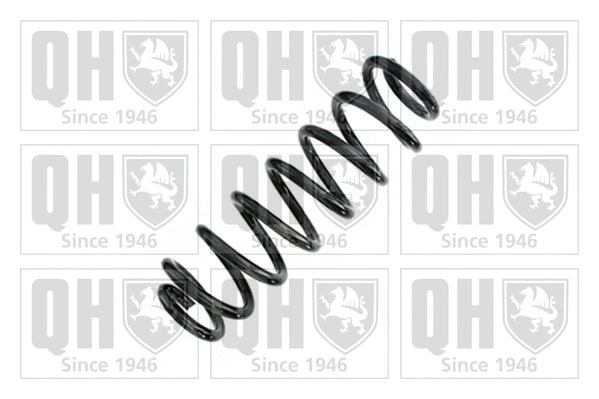 Suspension Spring (QCS8974)