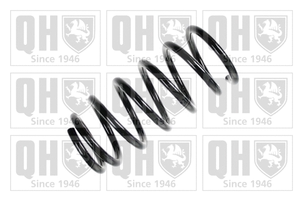 Suspension Spring (QCS6587)