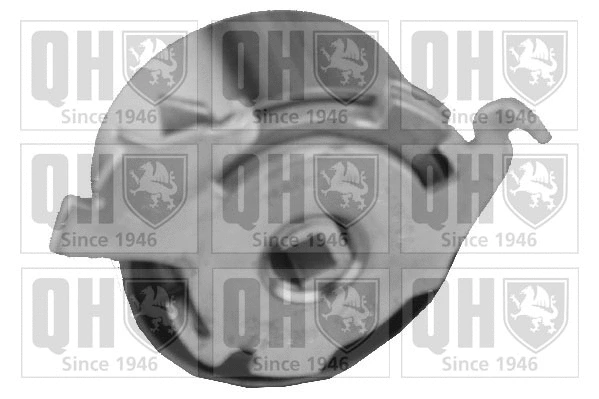 Tensioner Pulley, timing belt (QTT1070)