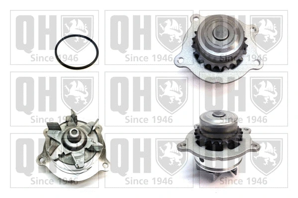 Water Pump, engine cooling (QCP3797)