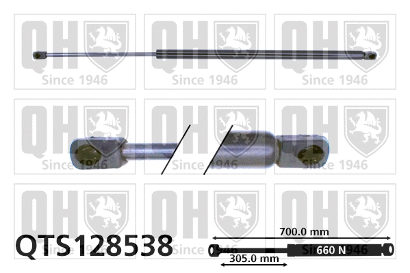 Gas Spring, boot/cargo area (QTS128538)