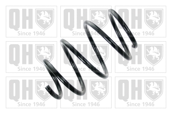 Suspension Spring (QCS8022)