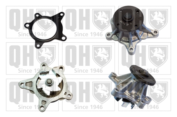 Water Pump, engine cooling (QCP3779)