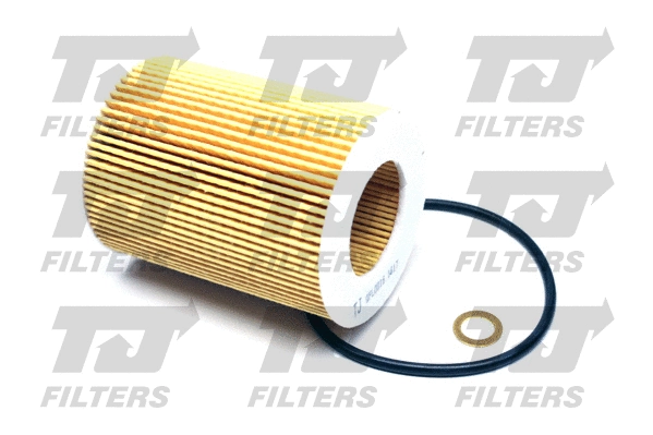 Oil Filter (QFL0016)