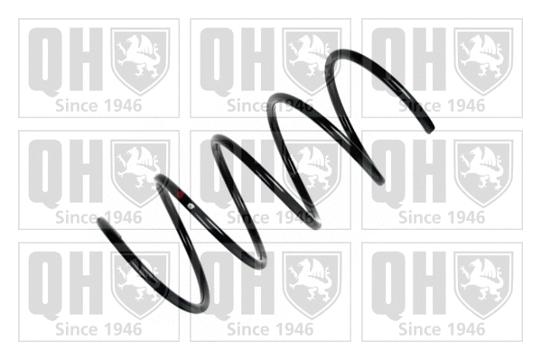 Suspension Spring (QCS5516)