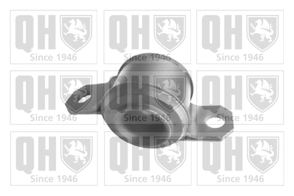 Mounting, control/trailing arm (EMS8245)