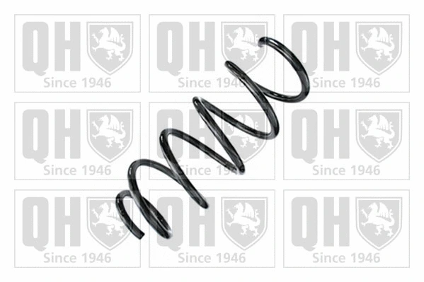 Suspension Spring (QCS8790)