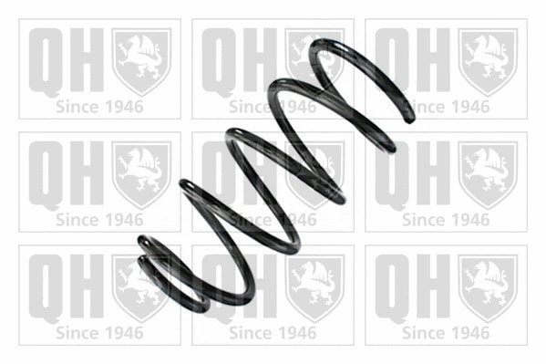 Suspension Spring (QCS8948)