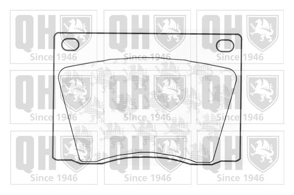 Brake Pad Set, disc brake (BP105)