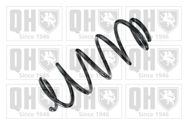 Suspension Spring (QCS8193)