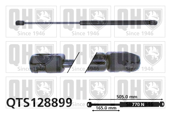 Gas Spring, boot/cargo area (QTS128899)