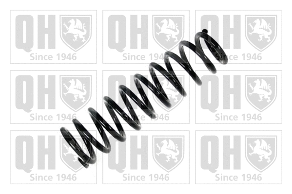 Suspension Spring (QCS5871)