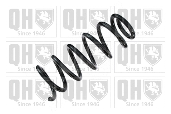 Suspension Spring (QCS5379)