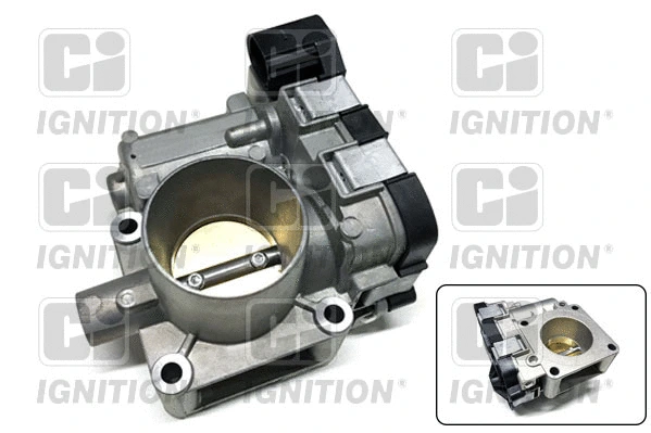 Throttle Body (XPOT493)
