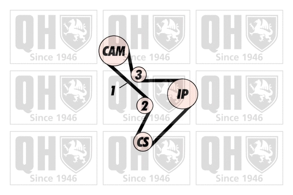 Timing Belt Kit (QBK317)