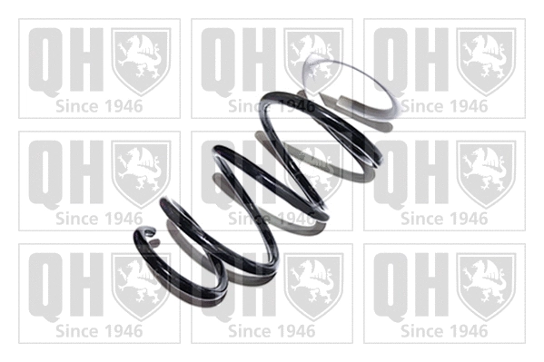 Suspension Spring (QCS7166)