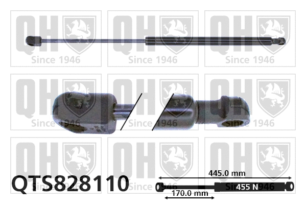Gas Spring, boot/cargo area (QTS828110)