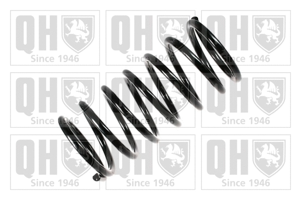 Suspension Spring (QCS6159)