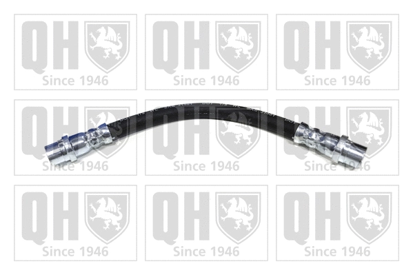 Brake Hose (BFH4891)