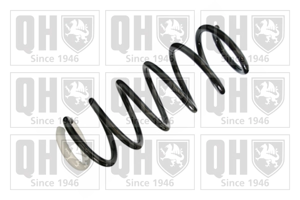 Suspension Spring (QCS8418)