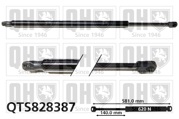 Gas Spring, boot/cargo area (QTS828387)