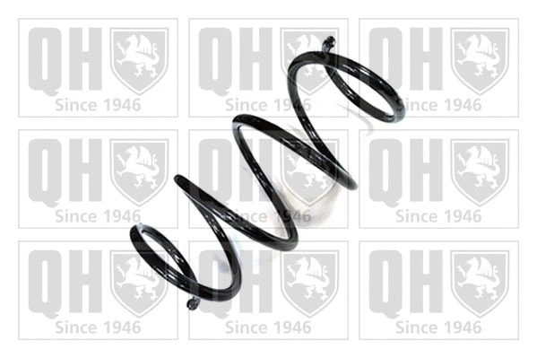 Suspension Spring (QCS8961)