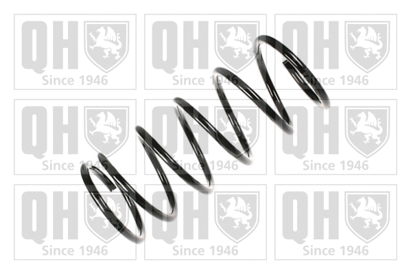 Suspension Spring (QCS6450)