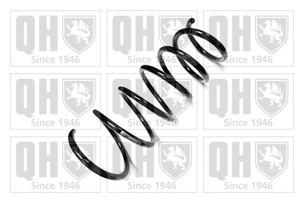 Suspension Spring (QCS6693)