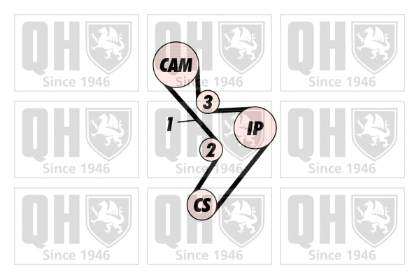 Timing Belt Kit (QBK160)