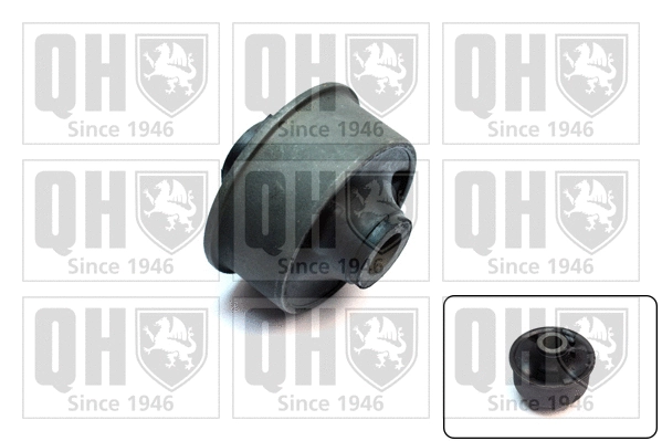 Mounting, control/trailing arm (EMS8428)