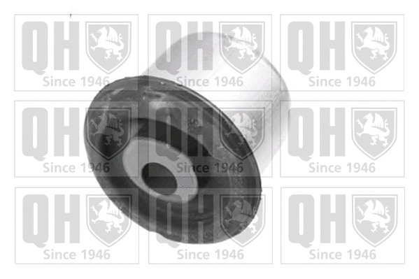 Mounting, control/trailing arm (EMS8478)