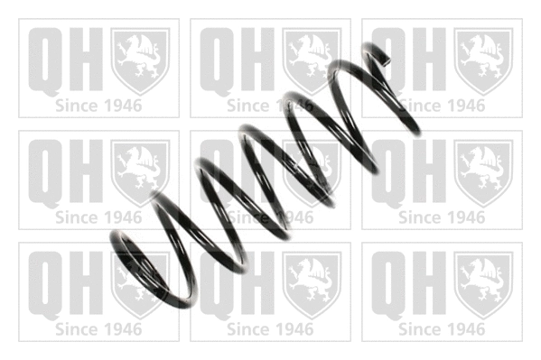 Suspension Spring (QCS8199)