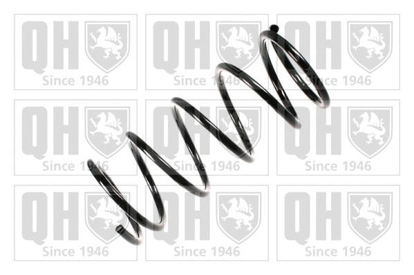 Suspension Spring (QCS6025)