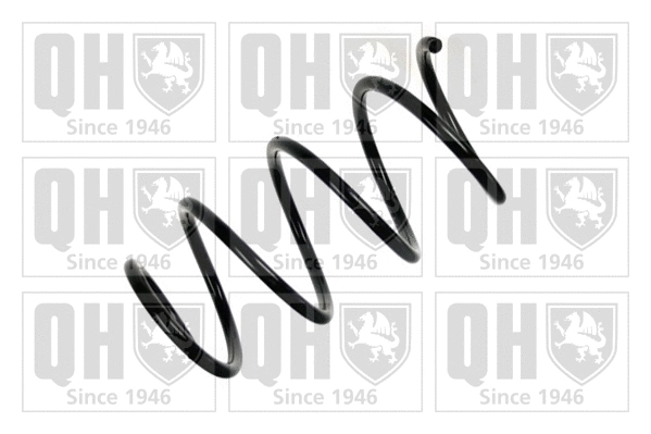 Suspension Spring (QCS5591)
