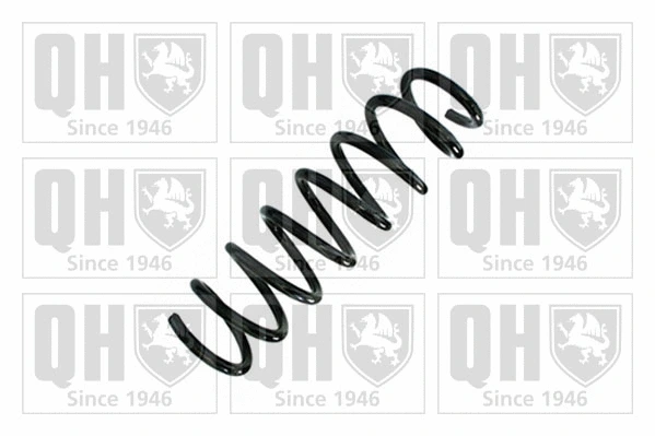 Suspension Spring (QCS9030)