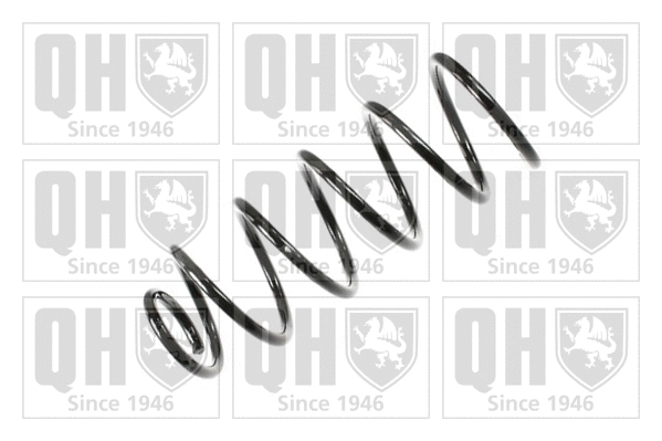 Suspension Spring (QCS7599)