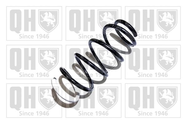 Suspension Spring (QCS8176)