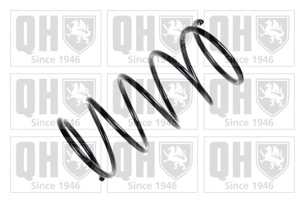 Suspension Spring (QCS5828)