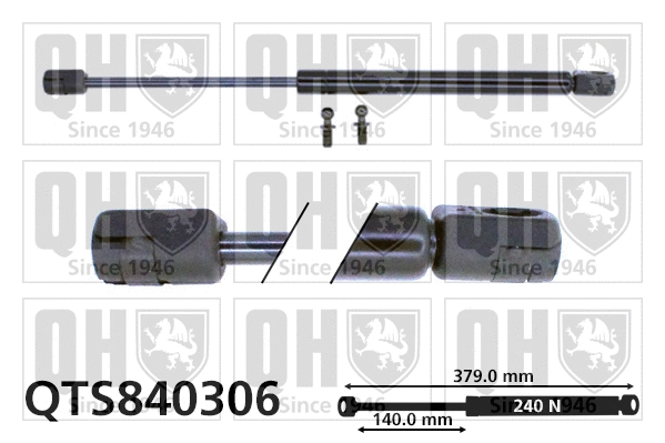 Gas Spring, boot/cargo area (QTS840306)