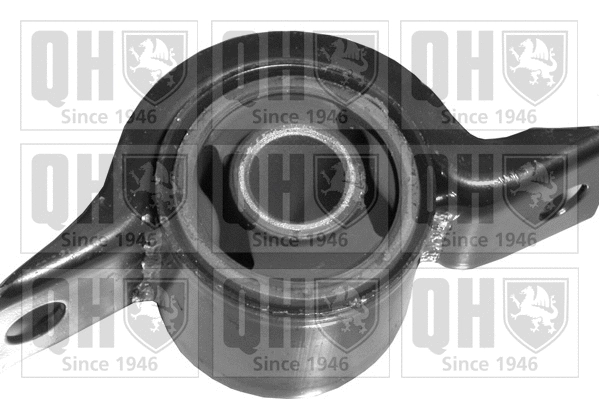 Mounting, control/trailing arm (EMS8041)