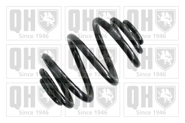 Suspension Spring (QCS7557)