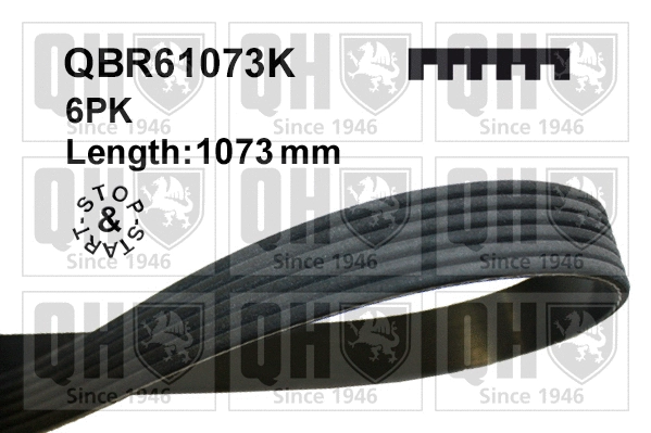 V-Ribbed Belt (QBR61073K)