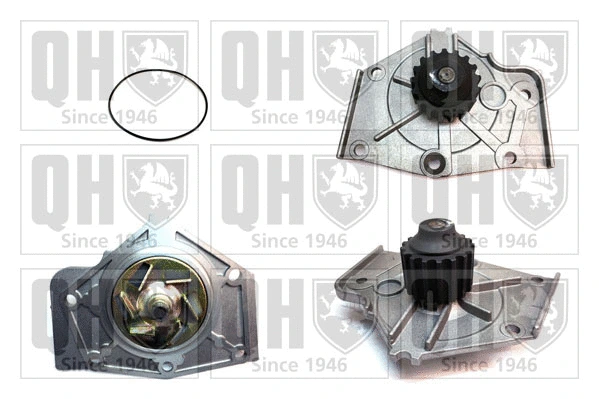 Water Pump, engine cooling (QCP2182)